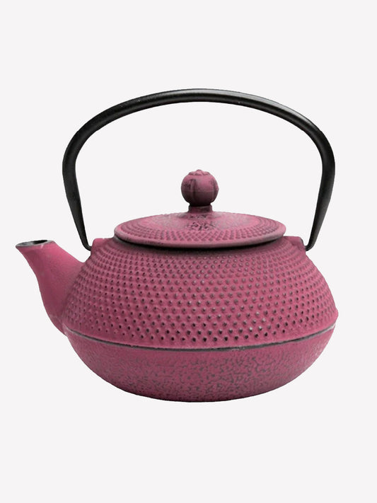 Cast Iron Tea Pot