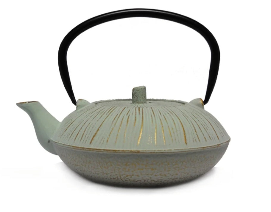 Cast Iron Tea Pot